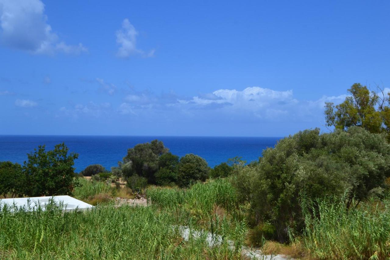 Campus Dei - Tropea Rooms Eksteriør billede