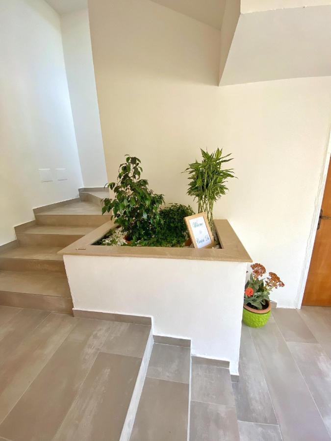 Campus Dei - Tropea Rooms Eksteriør billede